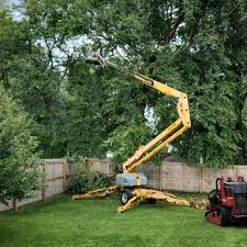 Best Tree Mulching  in Johns Creek, GA