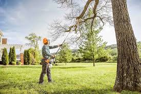 How Our Tree Care Process Works  in  Johns Creek, GA