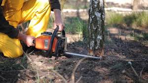 Best Stump Grinding and Removal  in Johns Creek, GA